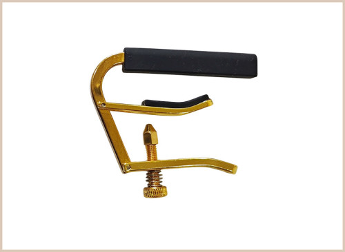 copy of copy of LIBRO DE CANTOS RESUCITÓ